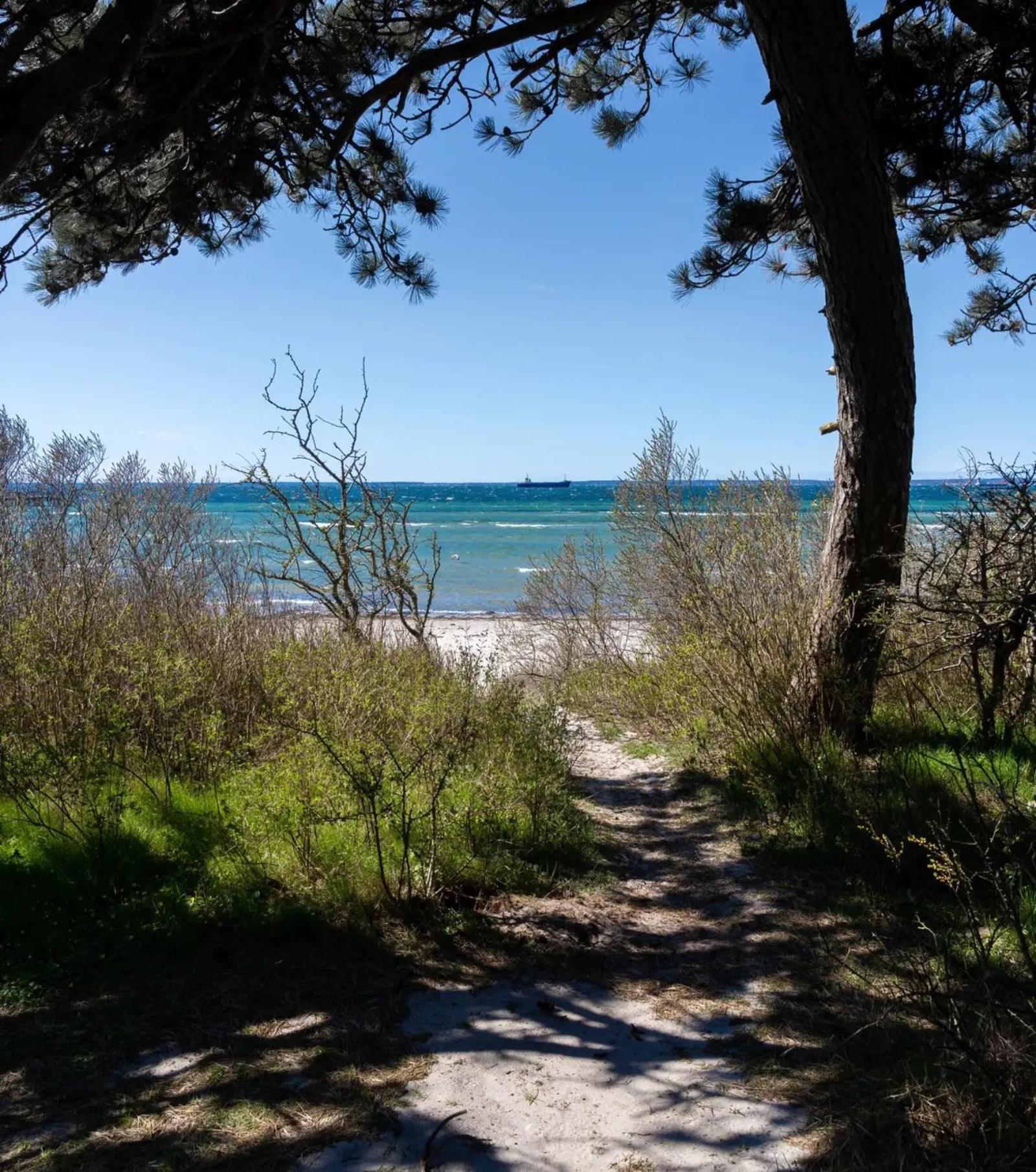Beach Camp Hoganas Bagian luar foto